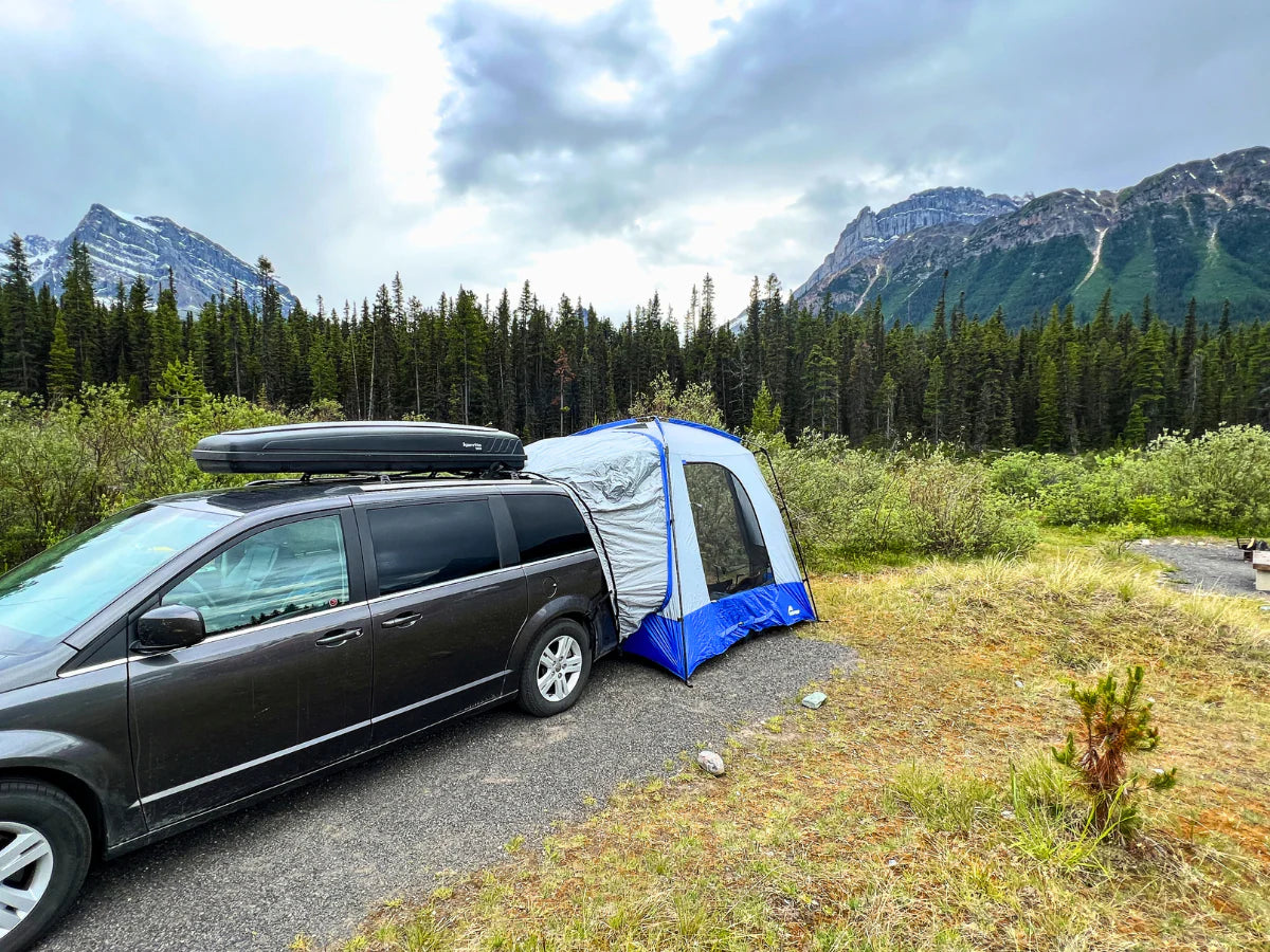 1.webp__PID:ba5245c4-9ae9-40b1-b1bf-fee7e7a1a8ac