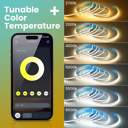 DC 5V 12V 24V 3500K 4500K 5000K 5500K 6000K CCT variateur 12 touches RF Bluetooth APP télécommande variateur pour CCT COB LED bande lumineuse