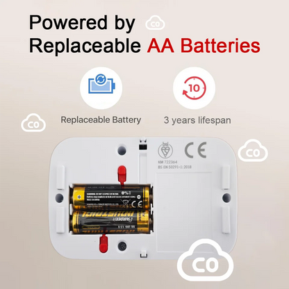 Détecteur de monoxyde de carbone EN50291, capteur de CO Portable, alarme de monoxyde de carbone pour maison, camping-car, voyage, Garage, affichage LCD, piles AA