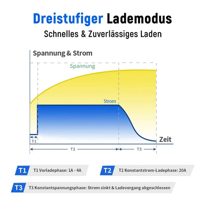 Wattcycle 14.6V 20A chargeur de batterie intelligent LiFePO4 110-220V 4S 12V chargeur haute puissance pour batterie au Lithium fer Phosphate
