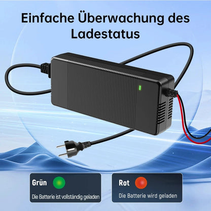 Wattcycle 14.6V 20A chargeur de batterie intelligent LiFePO4 110-220V 4S 12V chargeur haute puissance pour batterie au Lithium fer Phosphate