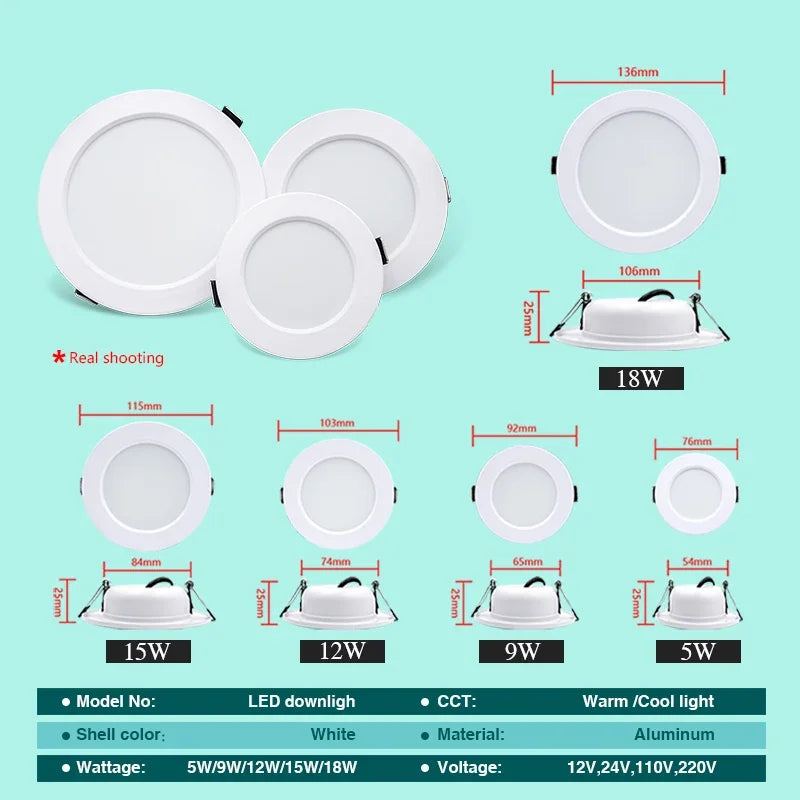LED Downlight 5W 9W 12W 15W 18W corps blanc rond LED plafonnier DC 12V 24V AC 110V 220V chambre cuisine éclairage LED intérieur