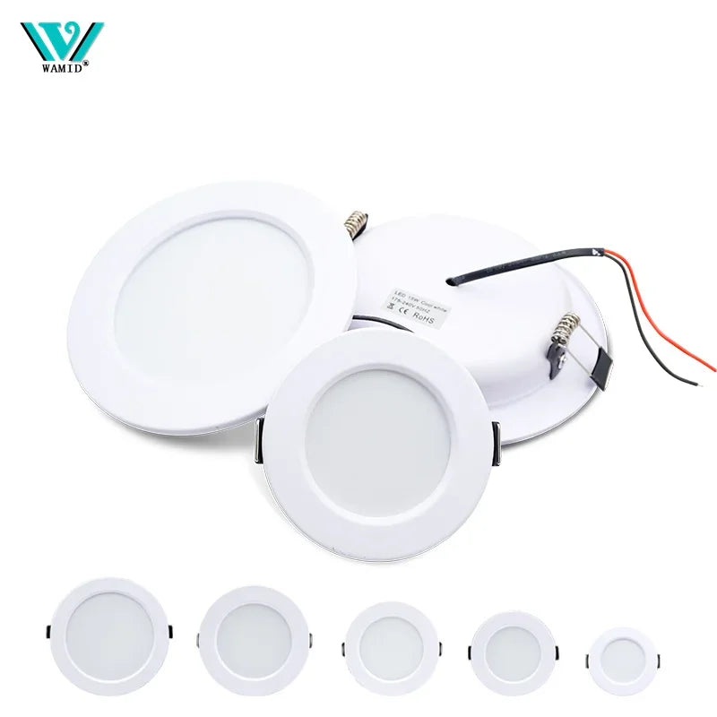 LED Downlight 5W 9W 12W 15W 18W corps blanc rond LED plafonnier DC 12V 24V AC 110V 220V chambre cuisine éclairage LED intérieur
