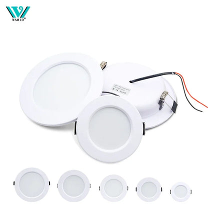 LED Downlight 5W 9W 12W 15W 18W corps blanc rond LED plafonnier DC 12V 24V AC 110V 220V chambre cuisine éclairage LED intérieur