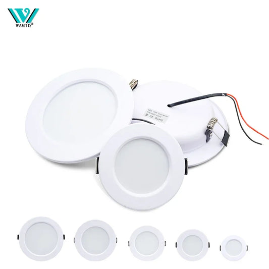 LED Downlight 5W 9W 12W 15W 18W corps blanc rond LED plafonnier DC 12V 24V AC 110V 220V chambre cuisine éclairage LED intérieur