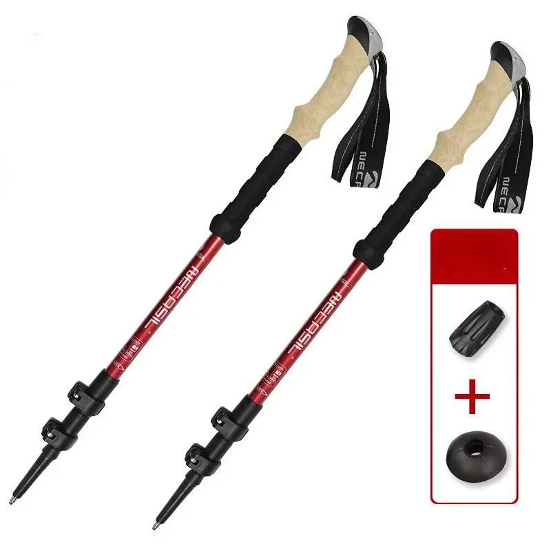 2 pièces bâtons de randonnée bâtons de marche Alpenstock télescopique ultraléger Premium réglable avec canne de randonnée à verrouillage rapide